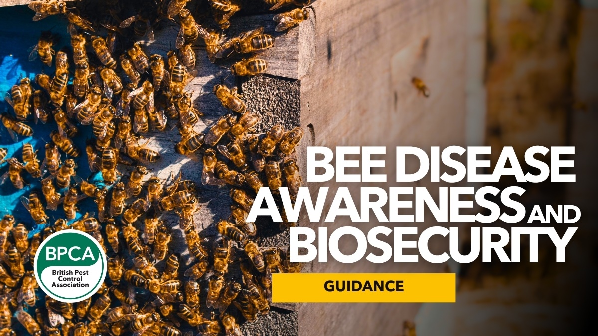 Beediseaseawarenessandbiosecurityforpestprofessionals1
